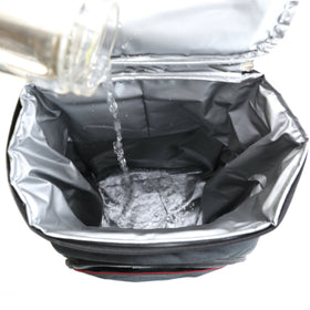 Lunch Travel Cooling Bagpack| Picnic Camping Bag