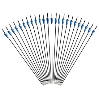 Fiberglass Arrows Archery For Practice Quiver
